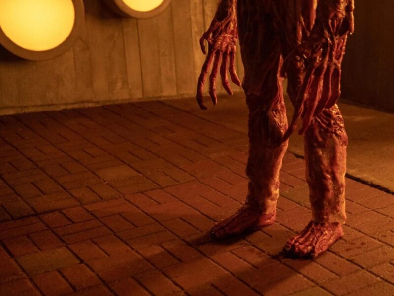 ‘La Visita’: El Gabinete de Curiosidades Capítulo 7