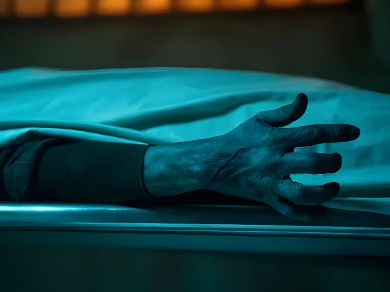 Guillermo del Toro’s Cabinet of Curiosities – Netflix Horror Series