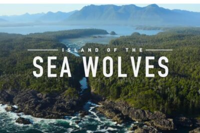 La isla de los Lobos Costeros – Serie Documental en Netflix
