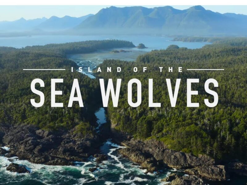 La isla de los Lobos Costeros – Serie Documental en Netflix