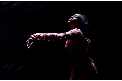 Hauser & Wirth Announces The Performance Project