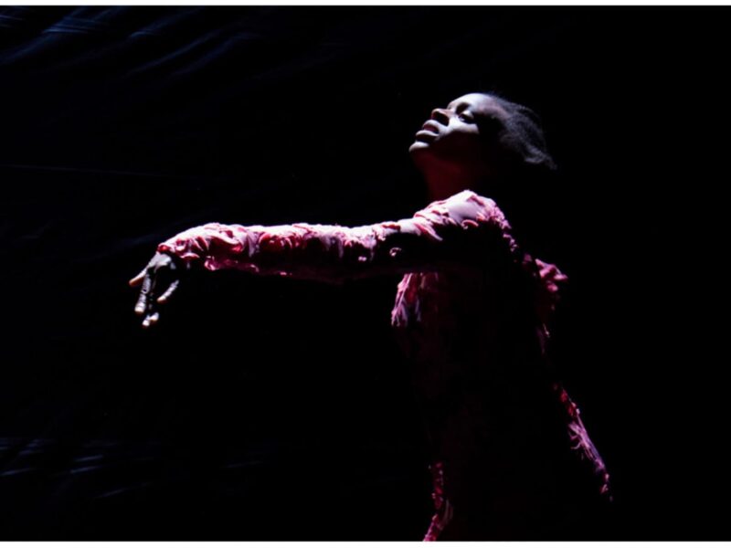 Hauser & Wirth Announces The Performance Project