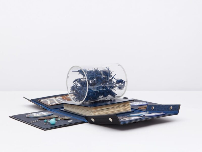 Ricardo Brey: Every Life is a Fire. Alexander Gray Associates (Germantown, NY)