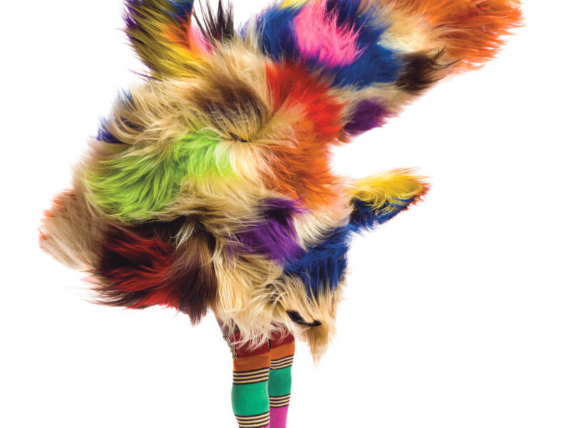 Nick Cave: Forothermore at the Guggenheim Museum