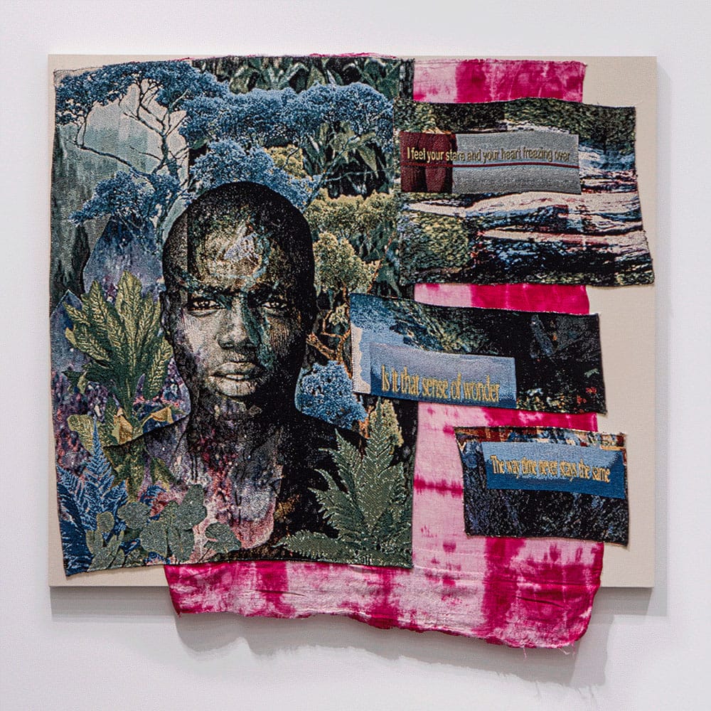 Richard-Jonathan Nelson: A Lacquered Egress – Yossi Milo Gallery (NY)