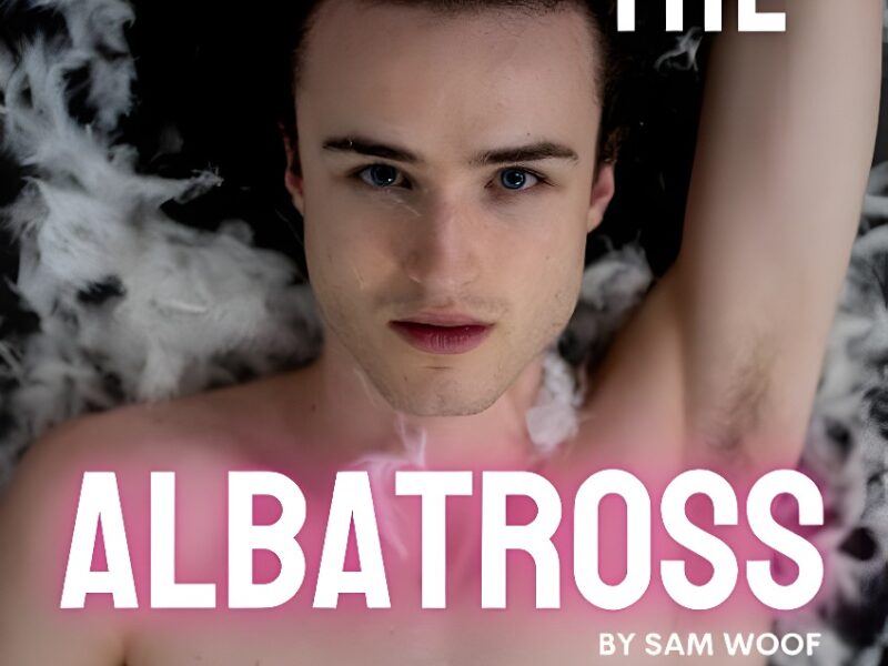 Don’t Shoot the Albatross – GOYA Theatre Company – Canal Cafe Theatre