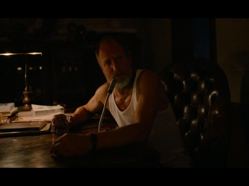 ‘Triangle of Sadness’ (2022) – The Award Winning Movie