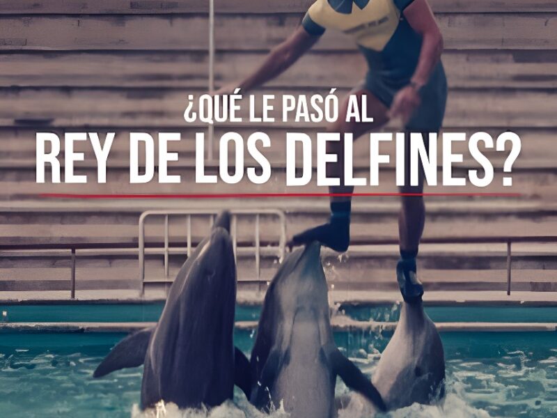 ¿Qué le Pasó al Rey de los Delfines? – Documental en Netflix