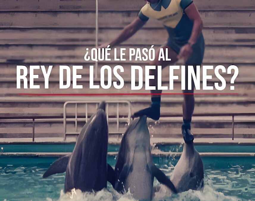 ¿Qué le Pasó al Rey de los Delfines? – Documental en Netflix