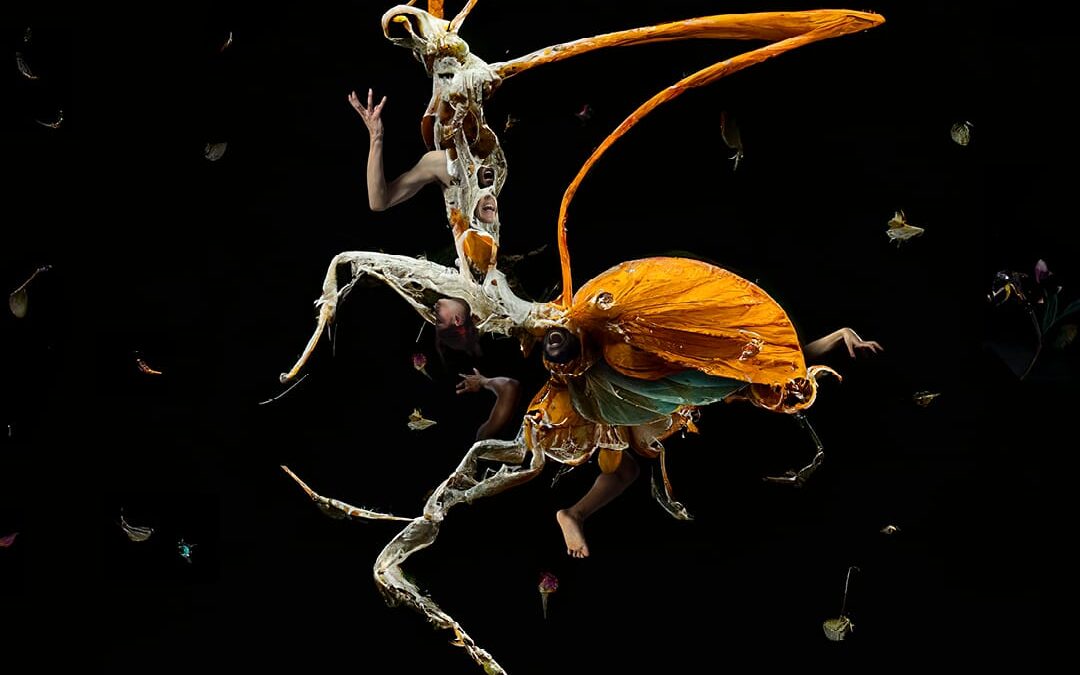 Lemn Sissay Obe Will Collaborate with Frantic Assembly on a Bold New Production of Kafka’s Metamorphosis