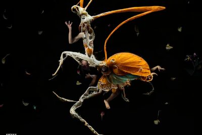 Lemn Sissay Obe Will Collaborate with Frantic Assembly on a Bold New Production of Kafka’s Metamorphosis