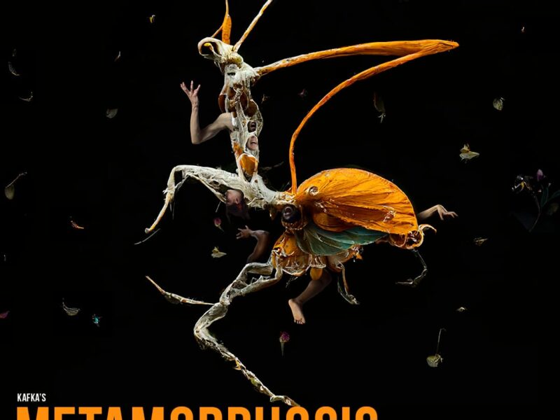 Lemn Sissay Obe Will Collaborate with Frantic Assembly on a Bold New Production of Kafka’s Metamorphosis