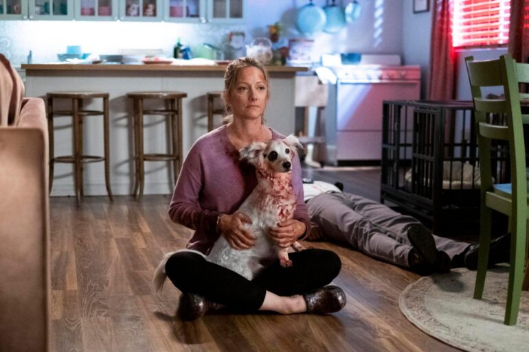 ‘Into the Dark: Good Boy’ (2020) – Comedy, Horror and… An Evil Pooch