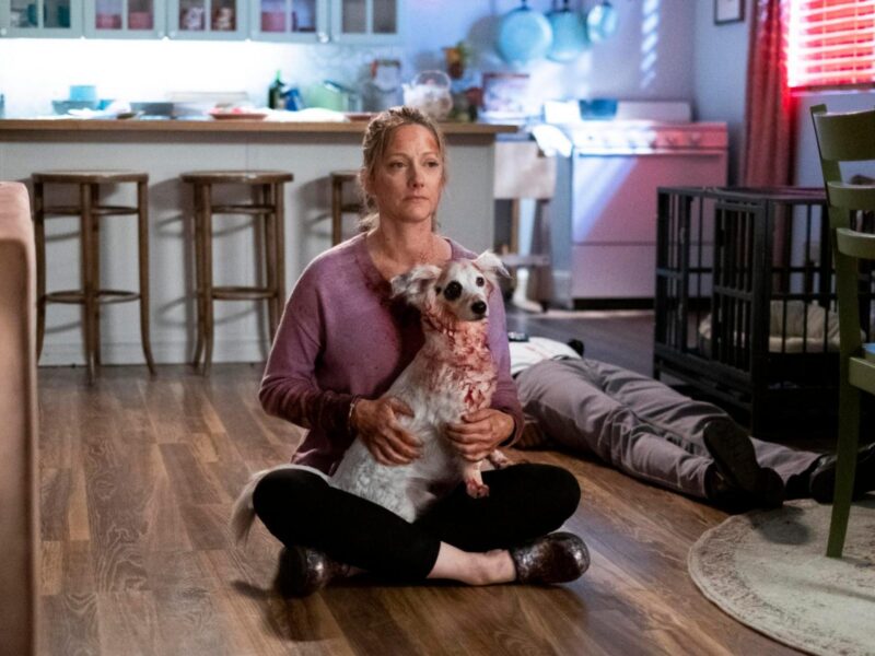 Into the Dark: Good Boy (2020) – Terror y Humor… y Perro