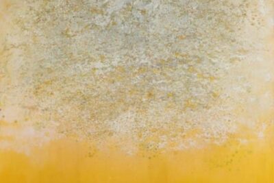 Govinda Sah ‘Azad’: Absent Presence – October Gallery (London)