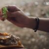 ‘Taco Chronicles’ – Season 3 ‘Cross the Border’ – A Netflix Series – Delish! The Best Tacos in the U.S.