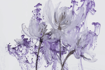 Yossi Milo Gallery at Paris Photo 2022
