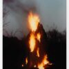 ‘Ana Mendieta: Universal Energy’ at the University of Iowa’s New Ana Mendieta Gallery