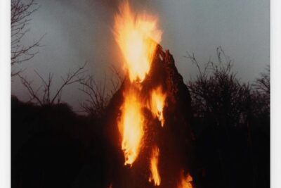 ‘Ana Mendieta: Universal Energy’ at the University of Iowa’s New Ana Mendieta Gallery