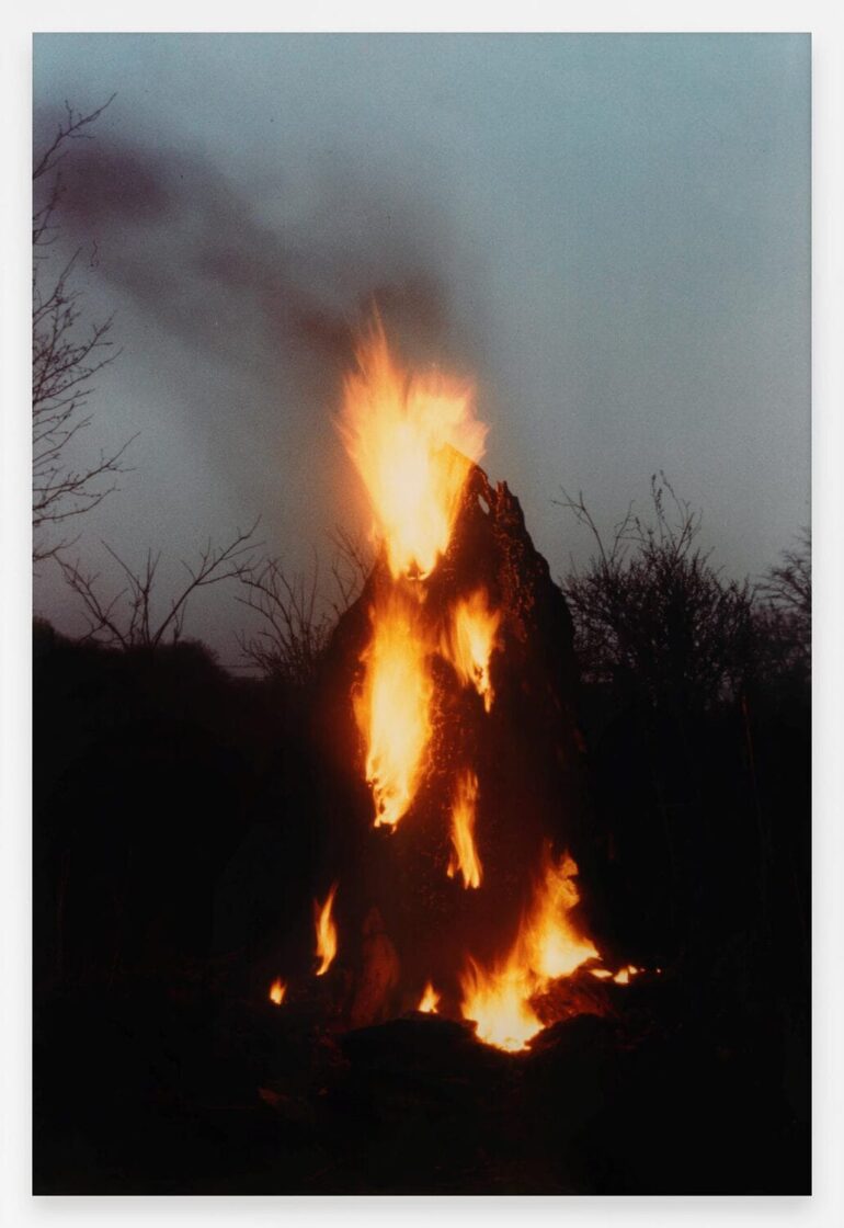 ‘Ana Mendieta: Universal Energy’ at the University of Iowa’s New Ana Mendieta Gallery