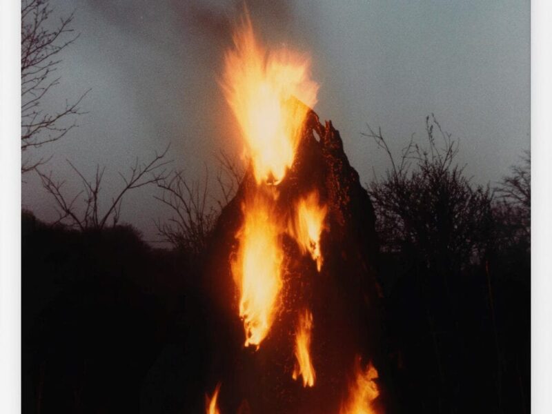 ‘Ana Mendieta: Universal Energy’ at the University of Iowa’s New Ana Mendieta Gallery