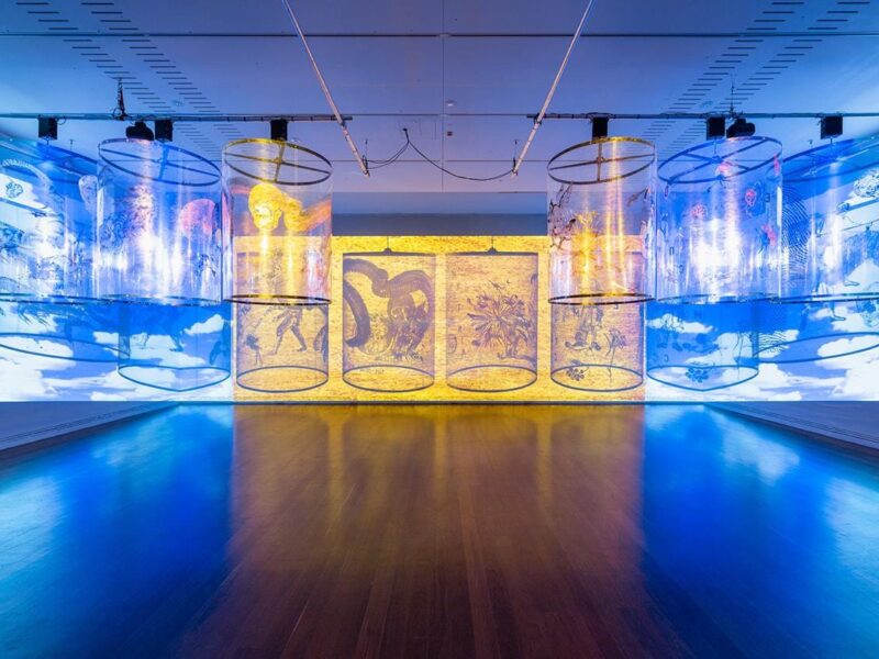 “Nalini Malani: Gamepieces” at the Art Gallery of South Australia