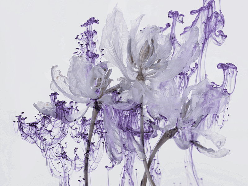 Yossi Milo Gallery at Paris Photo 2022