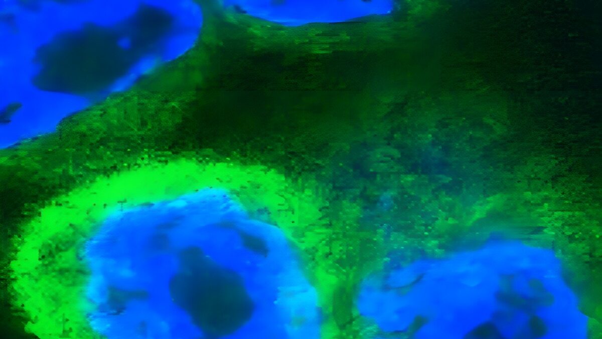 Immune surprise: recently evolved alarm molecule drives inflammation