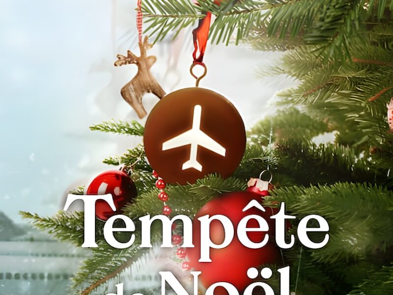&lsquo;Tempête de Noël&rsquo; (2022) – Série Netflix – Première le 16 décembre
