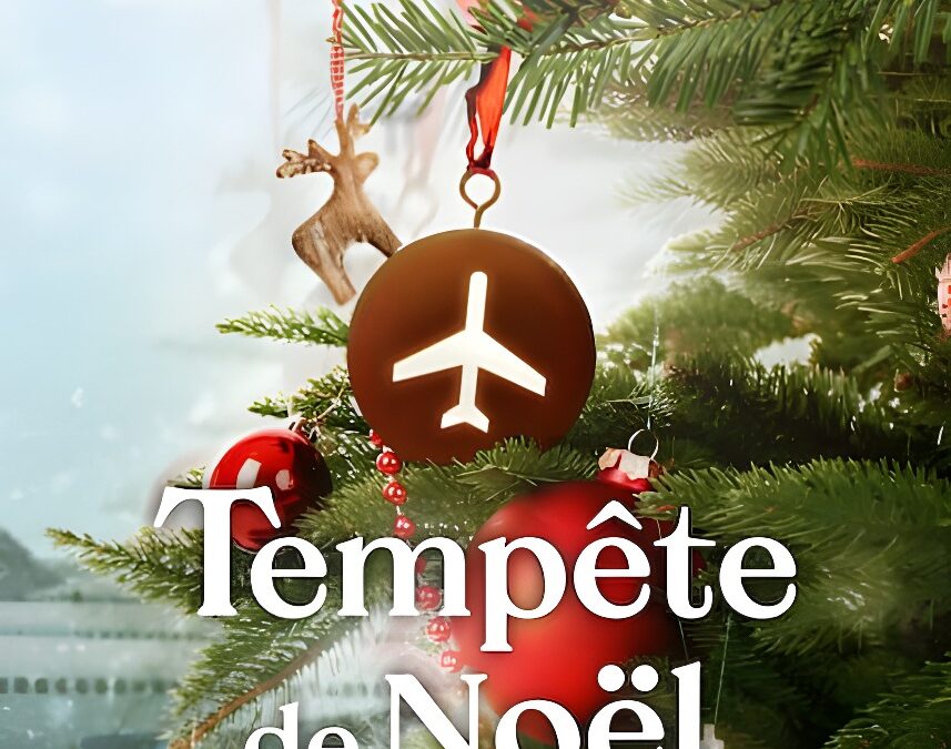 &lsquo;Tempête de Noël&rsquo; (2022) – Série Netflix – Première le 16 décembre