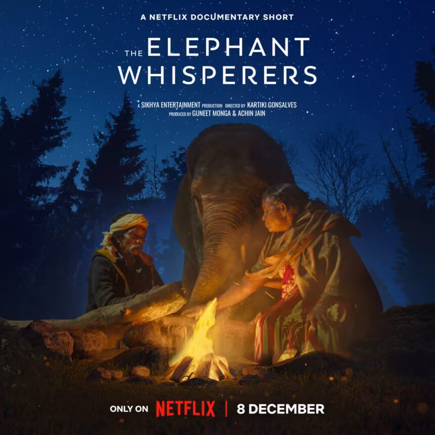 Nuestro bebé elefante