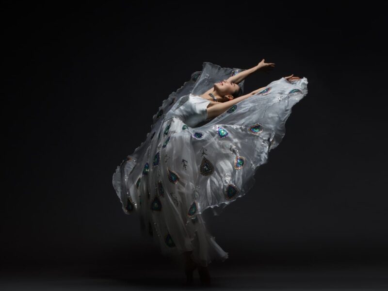 Nai-Ni Chen Dance Company Celebrates the Lunar New Year: Year of the Black Water Rabbit Premiering Lion in the City at NJPAC