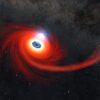 NASA Gets Unusually Close Glimpse of Black Hole Snacking on Star