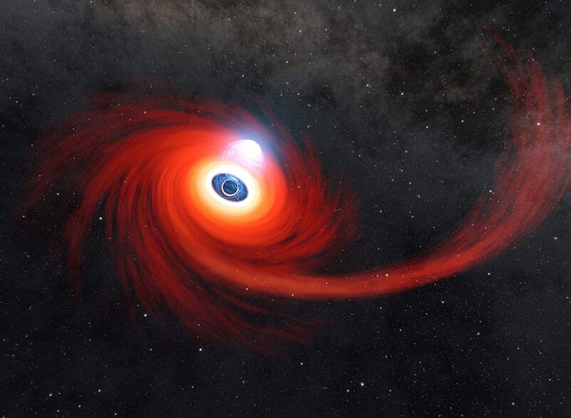 NASA Gets Unusually Close Glimpse of Black Hole Snacking on Star