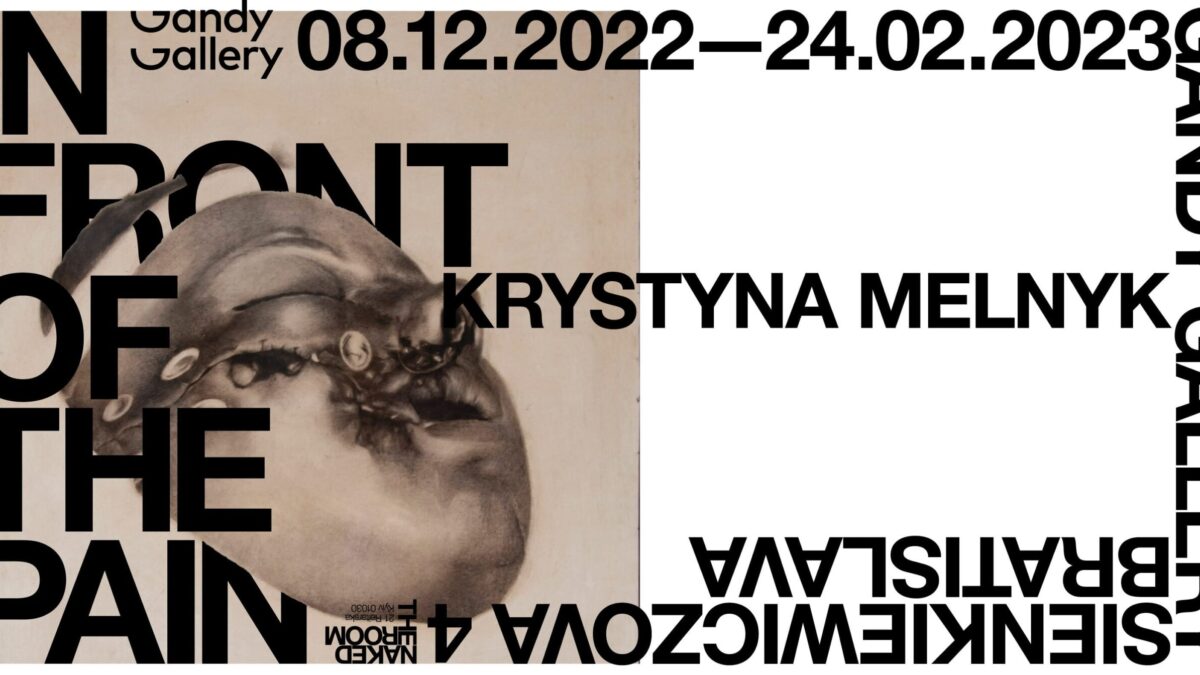 Krystyna Melnyk: In Front of Pain at Gandy Gallery (Slovakia)