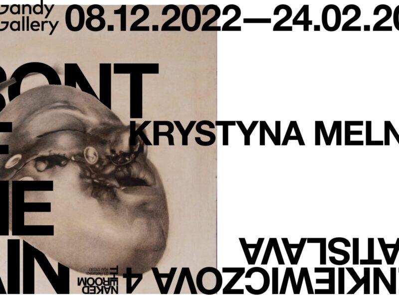 Krystyna Melnyk: In Front of Pain at Gandy Gallery (Slovakia)
