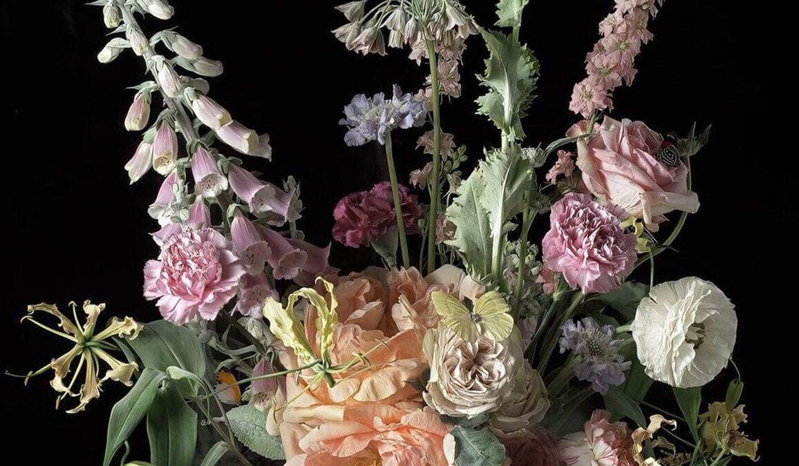 Ori Gersht: Fields and Visions – Talley Dunn Gallery