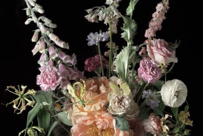 Ori Gersht: Fields and Visions – Talley Dunn Gallery