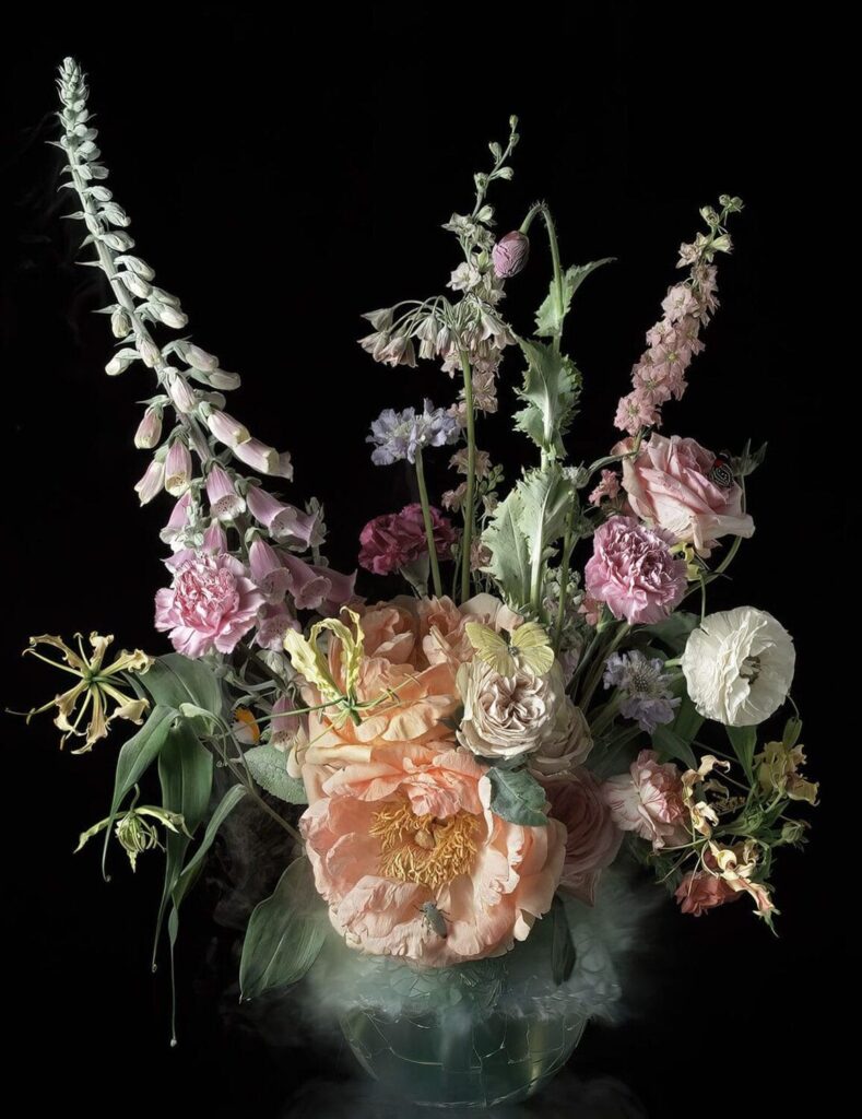 Ori Gersht: Fields and Visions – Talley Dunn Gallery