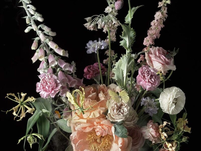 Ori Gersht: Fields and Visions – Talley Dunn Gallery