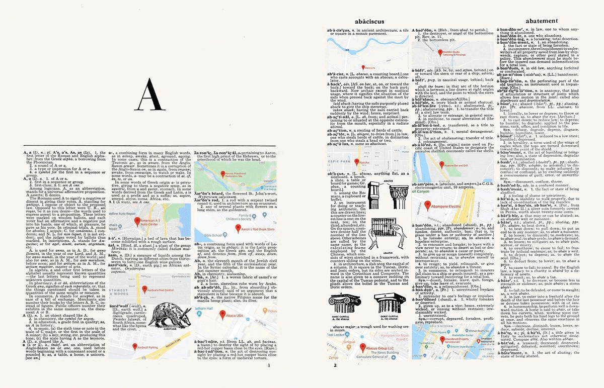 Luis Camnitzer: Arbitrary Order – Alexander Gray Associates – New York