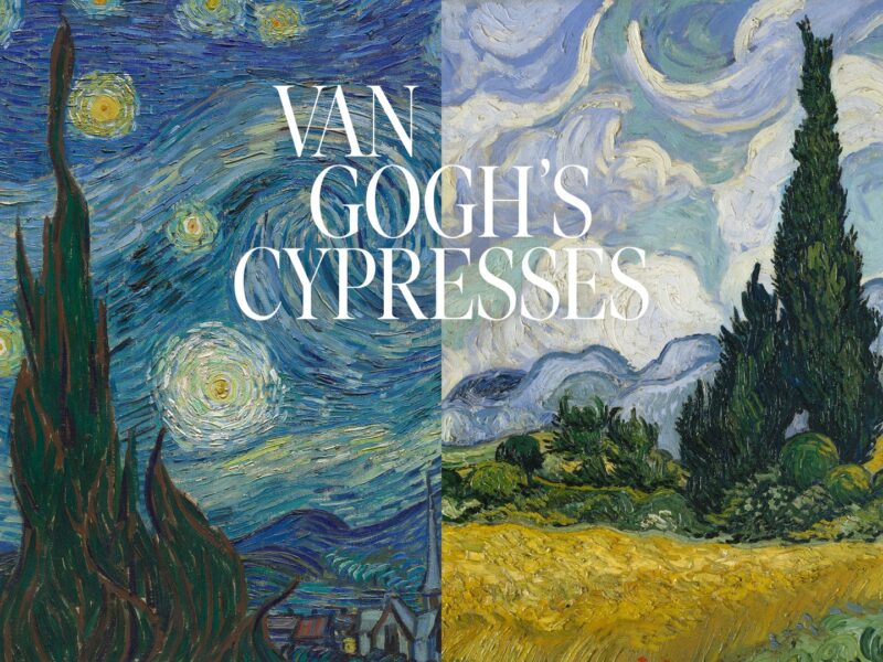 The Met Announces First Exhibition to Focus on Vincent van Gogh’s Cypresses