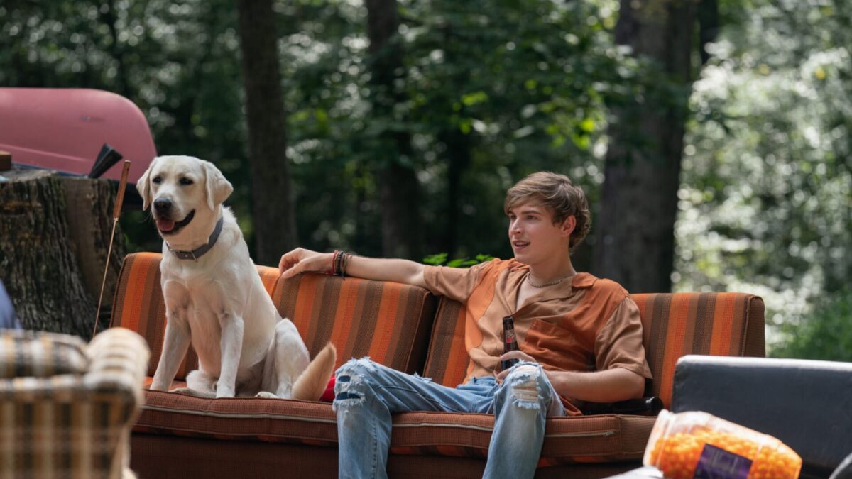 Perro perdido (2023): “otra” película “de perros” en Netflix