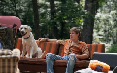 Chien perdu (2023) : « un autre » film « chien »