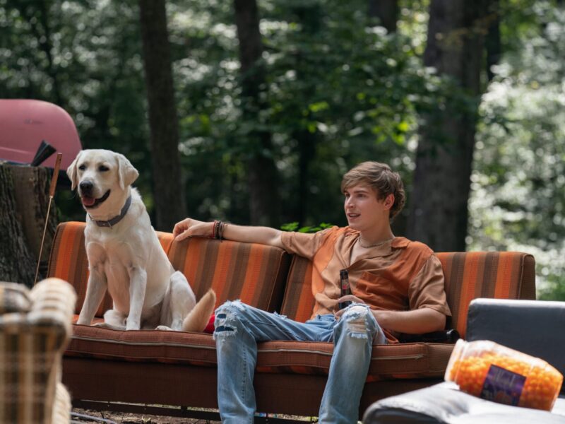 Chien perdu (2023) : « un autre » film « chien »