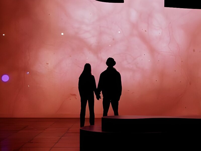 New immersive exhibition by OASIS immersion – transformé: a futuristic immersive journey inspired by true events