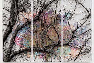 Charles Gaines: Southern Trees. Hauser & Wirth New York 22nd Street