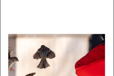 ‘La Mujer Imposible’, de Ana Pérez Cañamares. Presentación en Madrid