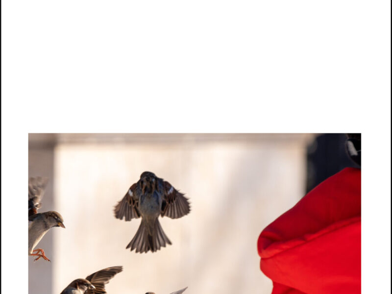 ‘La Mujer Imposible’, de Ana Pérez Cañamares. Presentación en Madrid