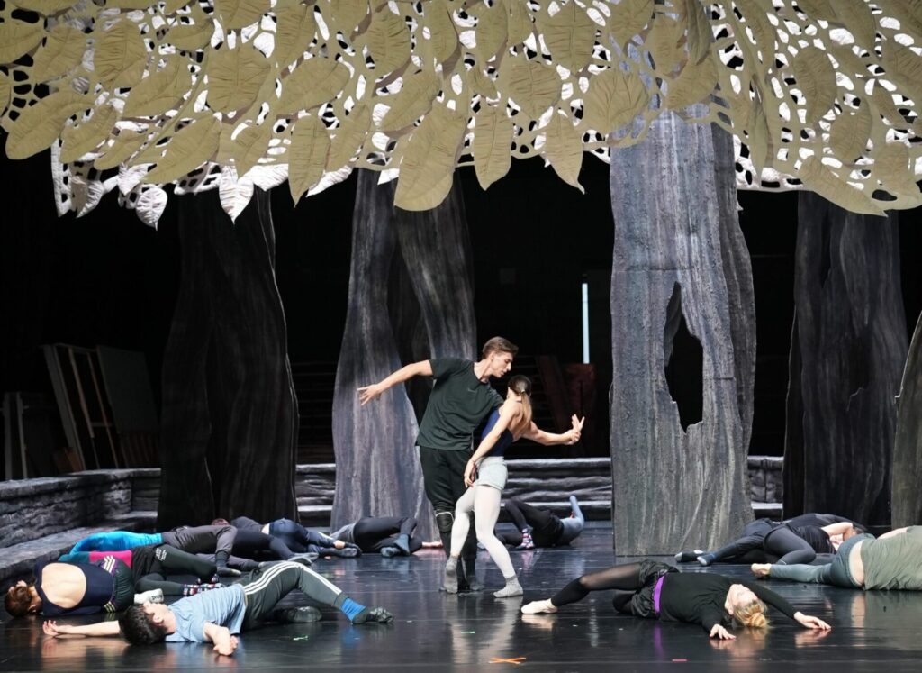 A new production of The Wooden Prince is presented by the Hungarian National Ballet